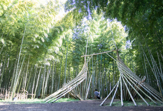 若竹の杜 若山農場